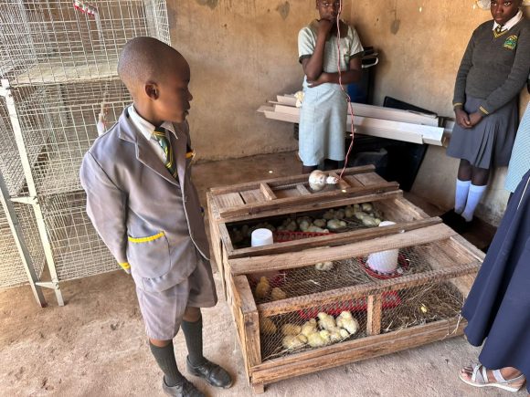 Nyamhuka Primary School’s business unit thrives